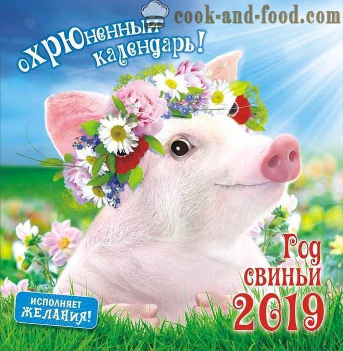 Kalendarz 2019 na rok świni ze zdjęciami - Pobierz darmowy kalendarz świąteczny ze świń i dzików