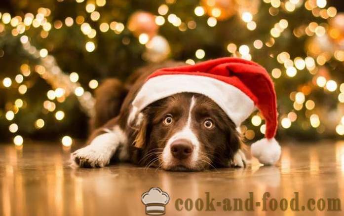 Proste pomysły Ozdoby noworoczne na rok Żółtego Ziemi Dogs na wschodnim kalendarza, zdjęcie