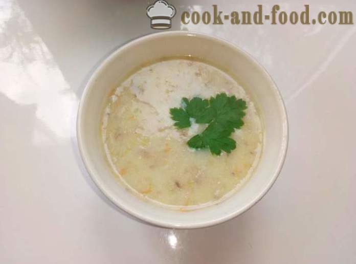Zupa grzybowa w Karpatach - Jak gotować grzyby grzyb yushku, krok po kroku przepis zdjęć