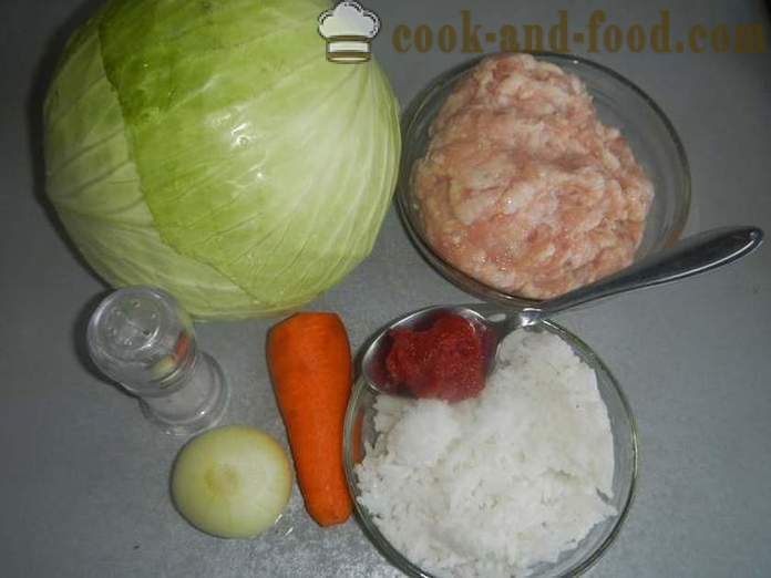 Pyszne nadziewane mielonym mięsem, ryżem i sosem pomidorowym - jak gotować gołąbki w multivarka krok po kroku przepis ze zdjęciem.